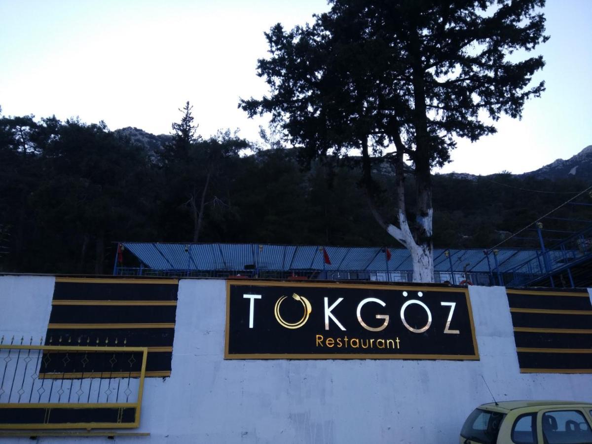 Tokgoez Otel Restaurant Ulupinar Exterior photo